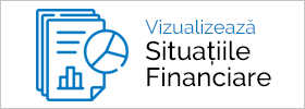 Situatii_financiare.png