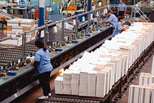 Evoluţia indicilor preţurilor producţiei industriale în Republica Moldova în luna noiembrie 2008