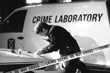 Nivelul criminalităţii în Republica Moldova în anul 2008