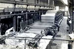 Evoluţia indicilor preţurilor producţiei industriale în Republica Moldova în luna iunie 2009