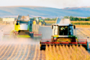Producţia globală agricolă în Republica Moldova în anul 2009