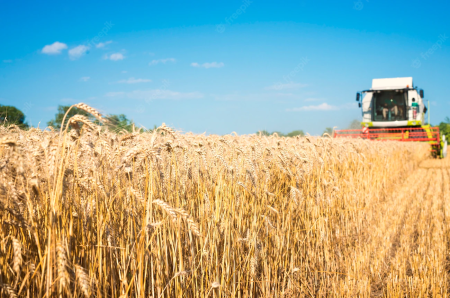 Producţia globală agricolă în ianuarie-martie 2012