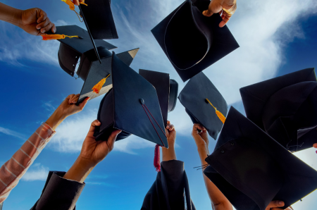 Activitatea de doctorat şi postdoctorat în anul 2013