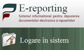 În perioada 11-30 august BNS efectuează testarea sistemului E-raportare