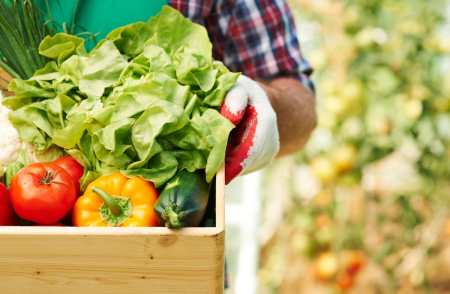 Producţia globală agricolă în trimestrul I 2017