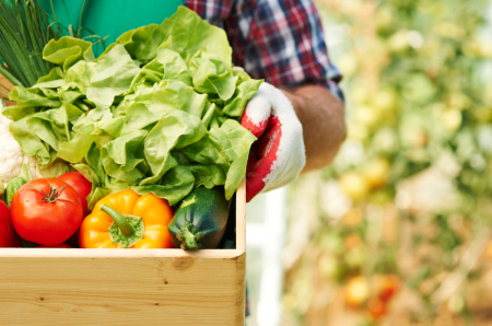 Индексы цен производителя сельскохозяйственной продукции в Республике Молдова в январе-июне 2018 года
