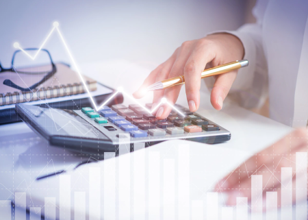 Lansarea Serviciului de vizualizare a principalilor indicatori din situațiile financiare
