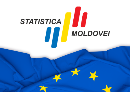 Job position for a National Non-Key Expert in Quality Management Framework for Official Statistics